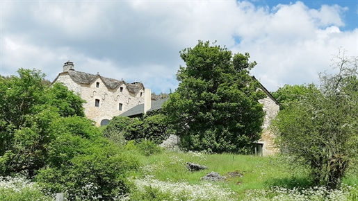 Stenen landgoed op 5 hectare in de buurt van Aveyron