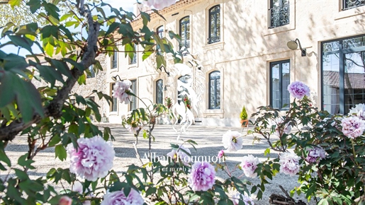 Raphele Les Arles : maison F9 (430 m²) en vente