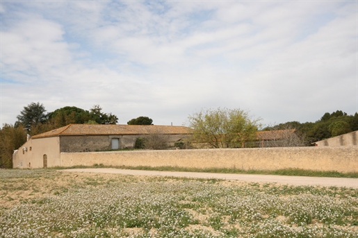 Maison de maître with wine buildings