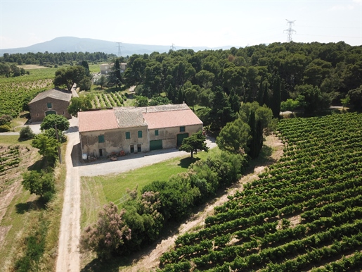 Weingut 40 Hektar Weingut, Haus
