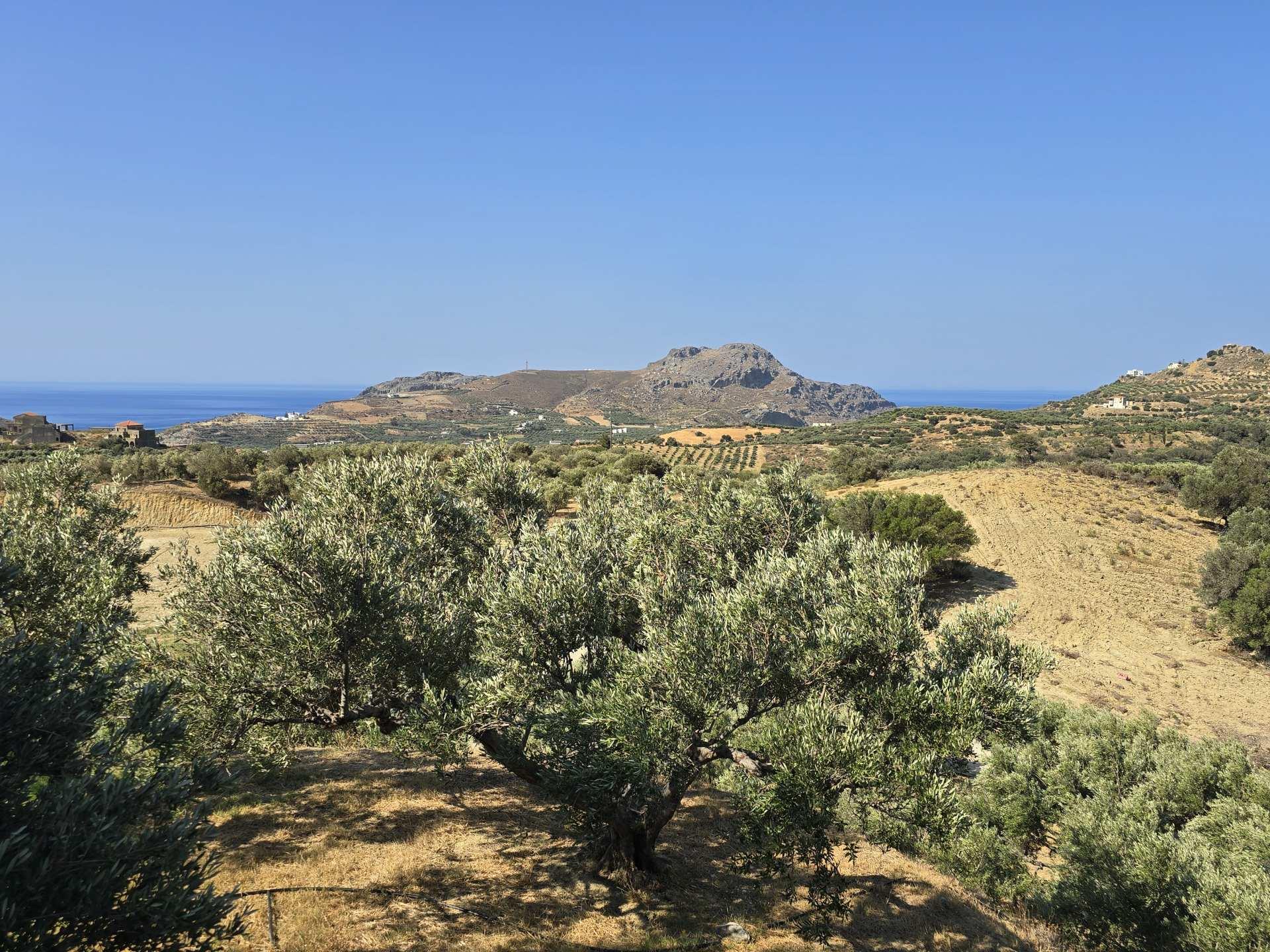 Grundstück mit herrlicher Aussicht in Mariou bei Plakias