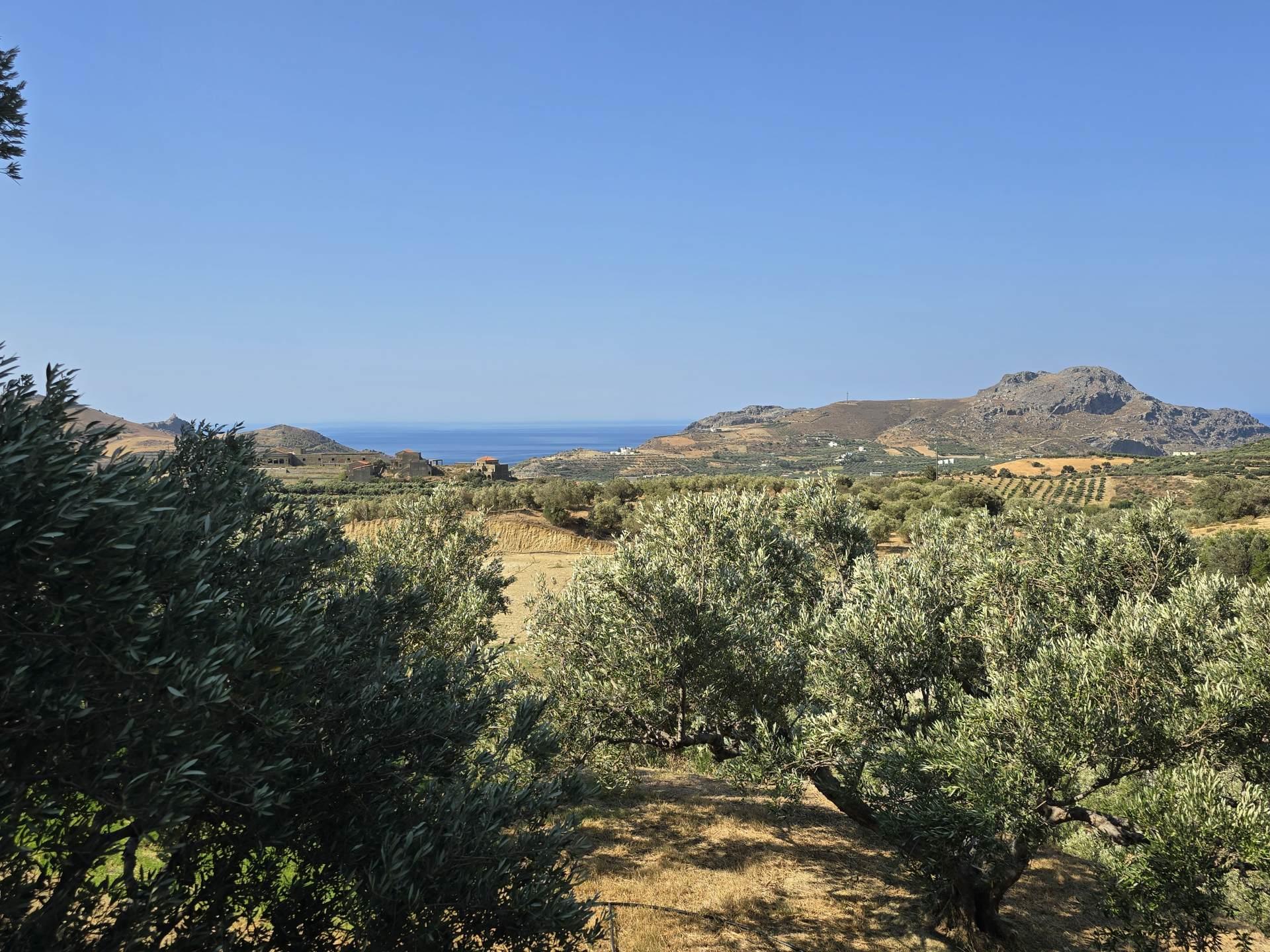Grundstück mit herrlicher Aussicht in Mariou bei Plakias