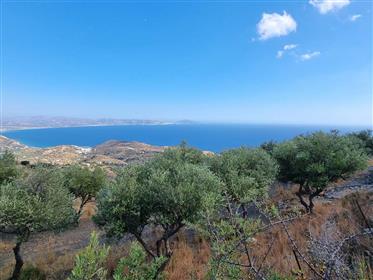 Terrain avec vue sur la mer et permis de construire près de Agia Galini