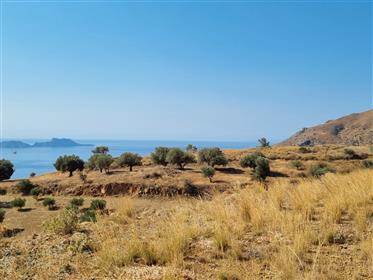 Large plot with building permit and sea view