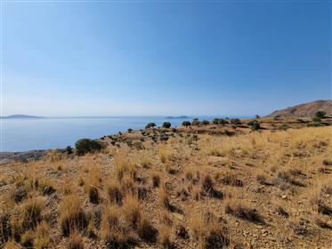 Large plot with building permit and sea view