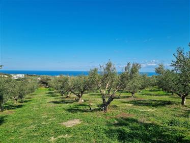 Bebaubares großes Grundstück in Kastellakia, Rethymno