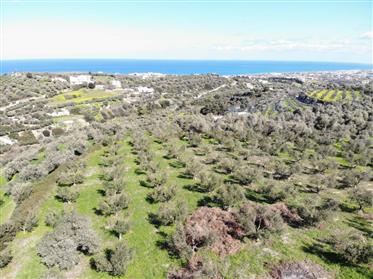 Buildable large plot in Kastellakia, Rethymno