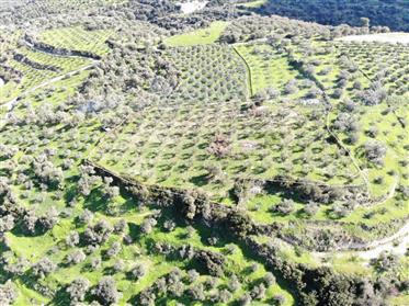 Bebaubares großes Grundstück in Kastellakia, Rethymno