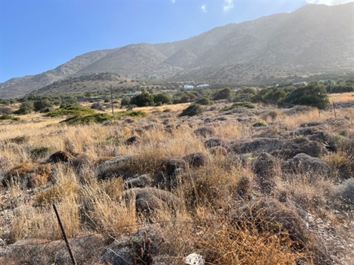 Seaside buildable land plot for sale in Tholos