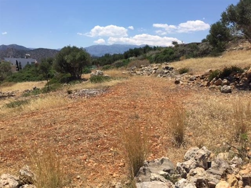 A 2.575m2 building plot is for sale in the area of Katsikia, Aghios Nikolaos, Crete
