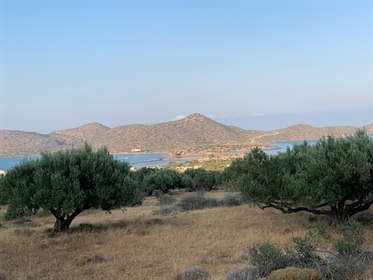 Building land plot of 6.000m2 for sale in Pyrgos, Elounda