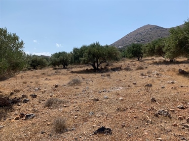 Building land plot of 6.000m2 for sale in Pyrgos, Elounda