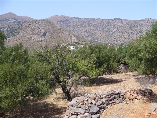 Land plot of 2,000m2 for sale in Pines Elounda