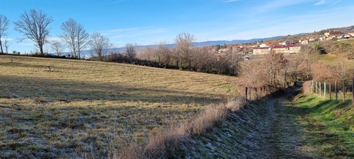 Vente Terrain 1245 m² à Montchal 62 500 €