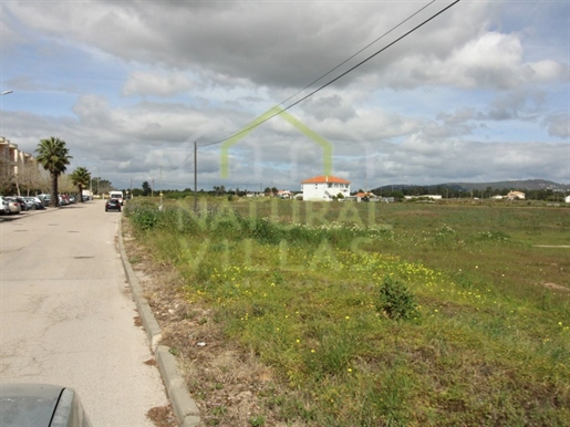 Terreno de Grande Potencial em Gambelas, Algarve: Oportunidade Única para Investimento