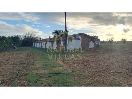 Flat Land w/ House to recover in Ferreira do Alentejo