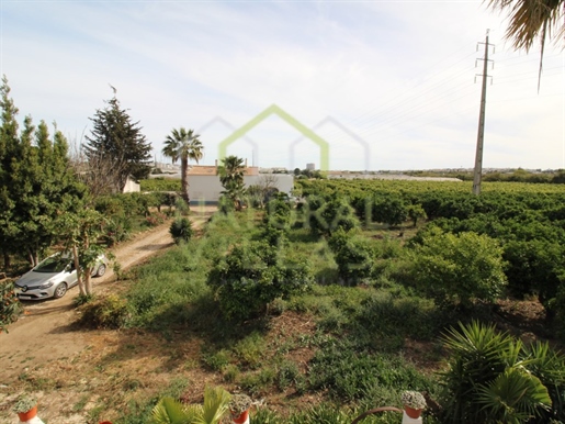 Fantastic Property: 2.1-Hectare Estate in the Rural Outskirts of Faro
