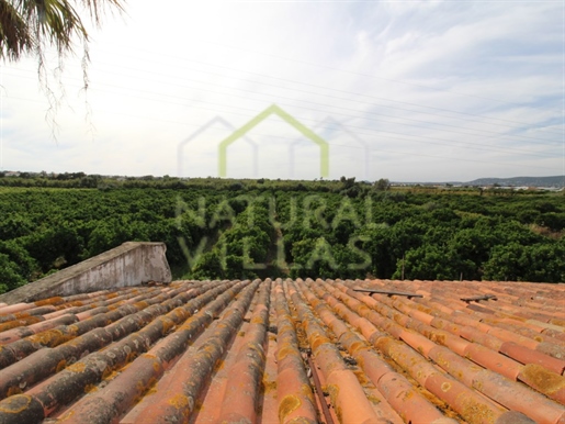 Fantastic Property: 2.1-Hectare Estate in the Rural Outskirts of Faro