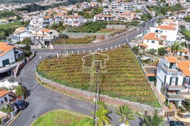 Baugrundstück mit Blick auf die Bucht von Funchal