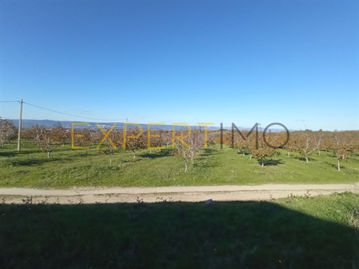 Agricultural Farm With 27 Hectares, agricultural exploitation with touristic potential