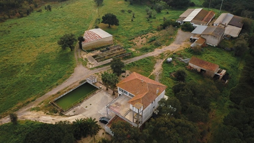 Ferme à Santarém avec 24 hectares de terrain