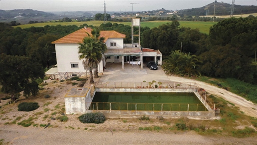 Farm in Santarém with 24 Hectares of Land