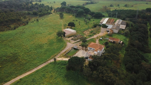 Bauernhof in Santarém mit 24 Hektar Land