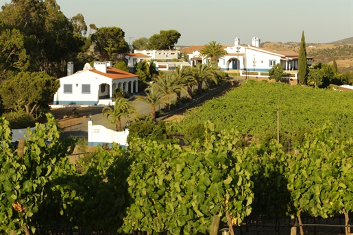 Herdade com 12 hectares autossustentável, com vinho certific