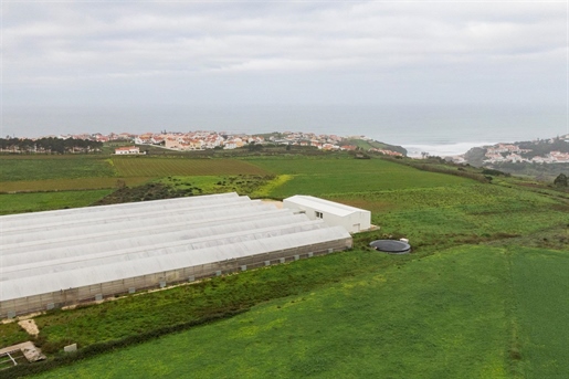 4 Hectare Plot with Fabulous Sea View