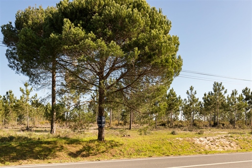 Building land in the Melides area