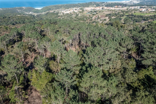 Plot of Land with sea view in Sintra