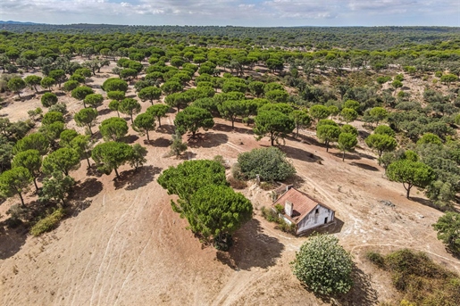 Rural Property in Alentejo