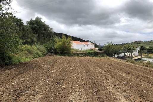Farmstead in Sintra