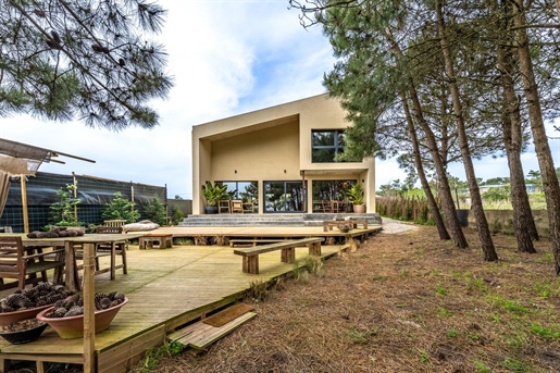 4-Bedroom Villa, Santa Cruz Beach - Torres Vedras
