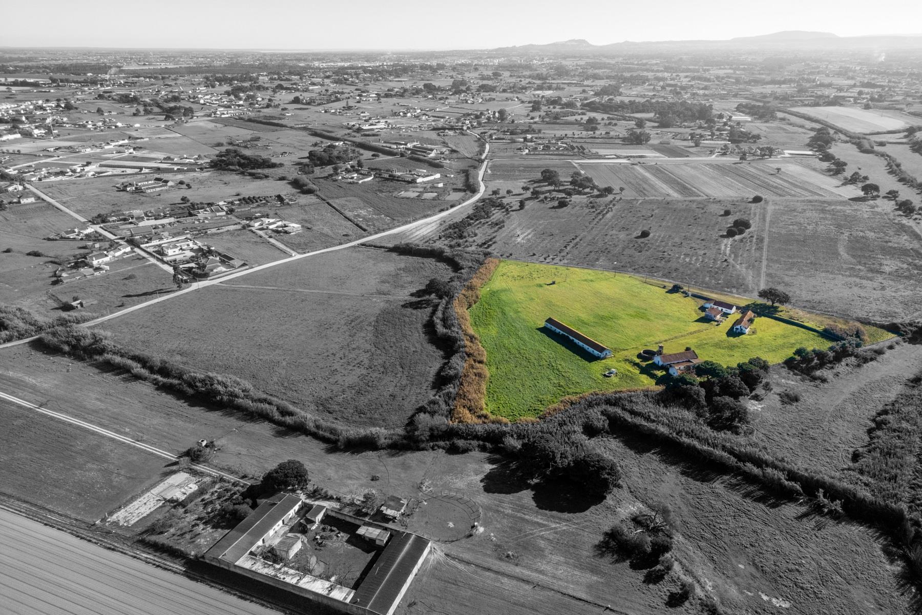 Land, Montijo