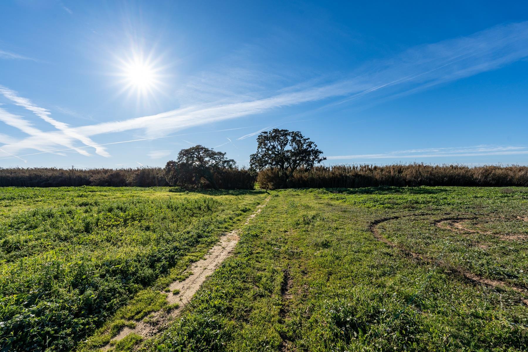 Land, Montijo