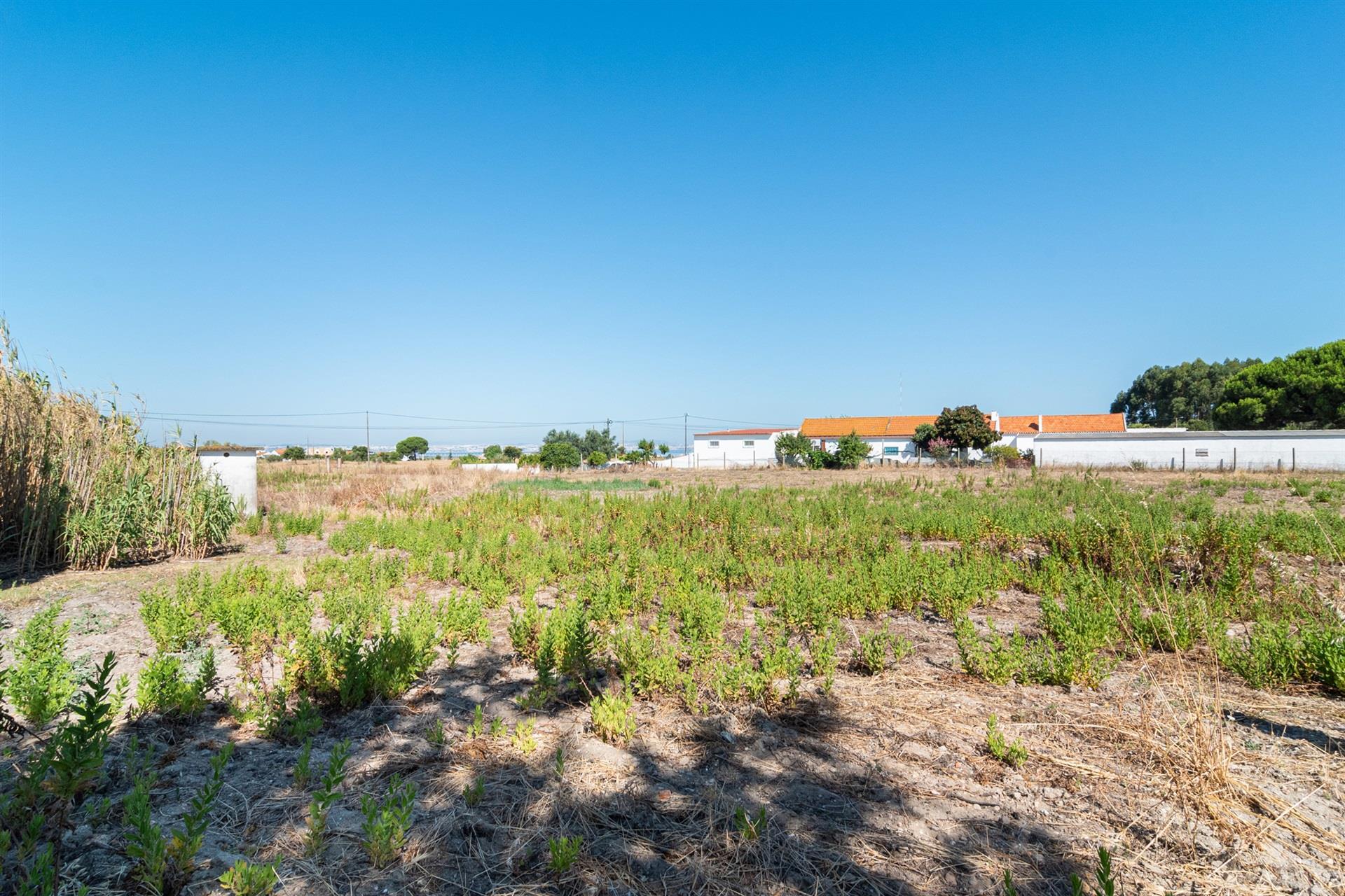 Land for villas or gated community in Alcochete