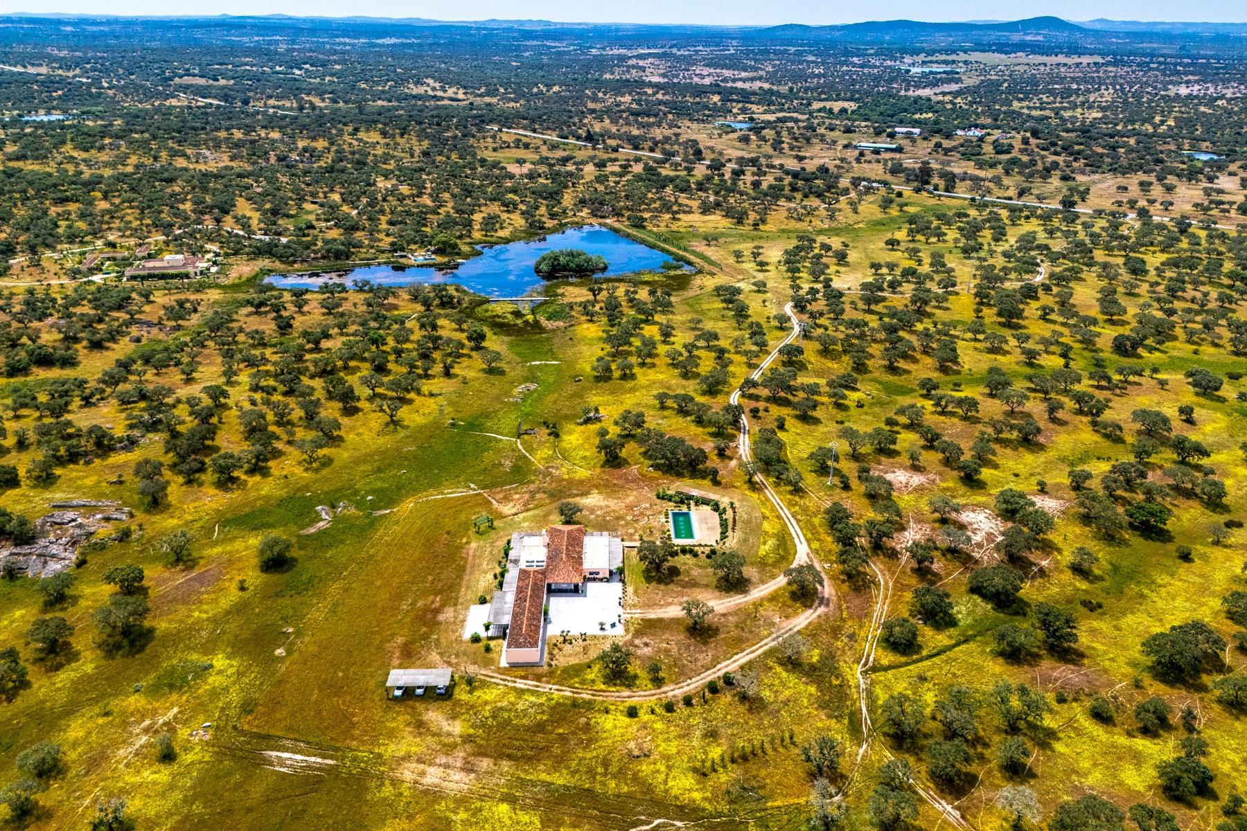 Charming Estate in the Heart of the Alentejo