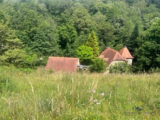 Moulin Exceptionnel en Dordogne avec Plus de 13 ha de Terrain. Exclusivité agence: découvrez ce moul