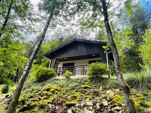 Magnificent Chalet with an Exquisite View of a Lake

Welcome to this haven of peace, with a breath