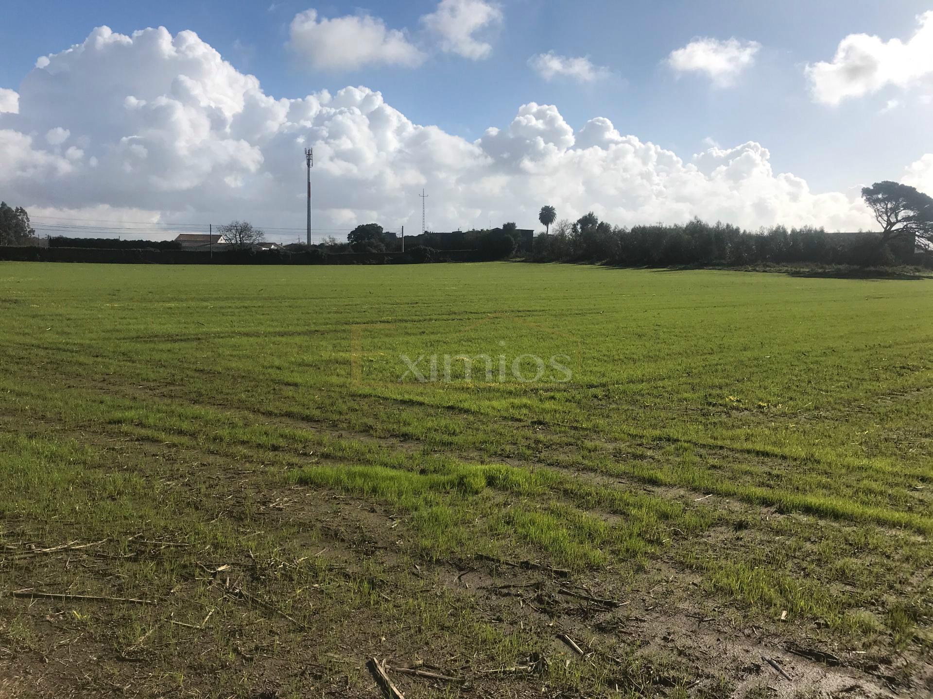 Terreno Venta en Póvoa de Varzim, Beiriz e Argivai,Póvoa de Varzim