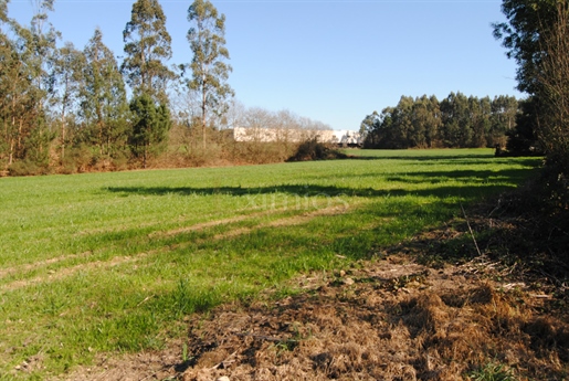 Grundstück Verkaufen in Macieira da Maia,Vila do Conde