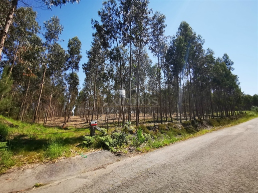Rustic land with a total area of & 8203 & m2, for sale, at Rates.