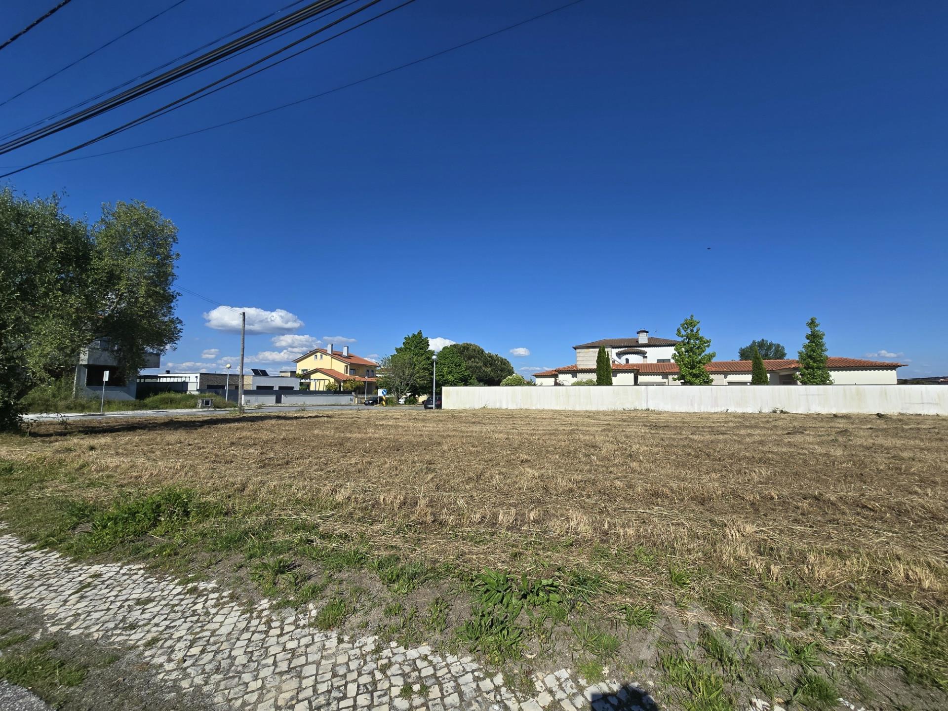 Stand Sell in Fragosela,Viseu