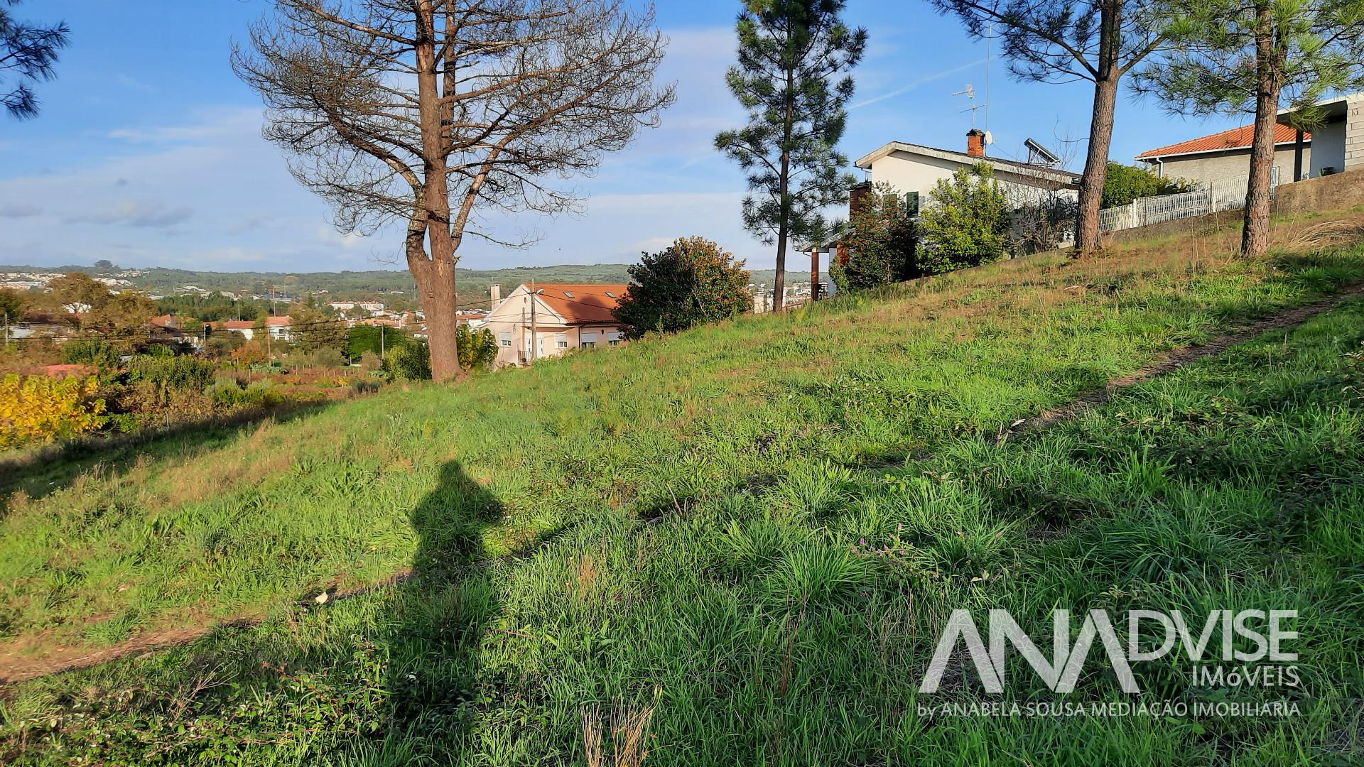 Real Estate building Sell in Viseu,Viseu