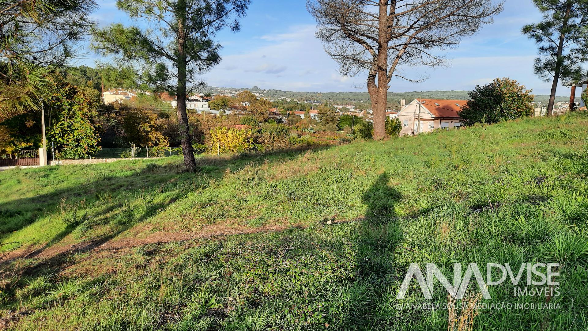 Real Estate building Sell in Viseu,Viseu