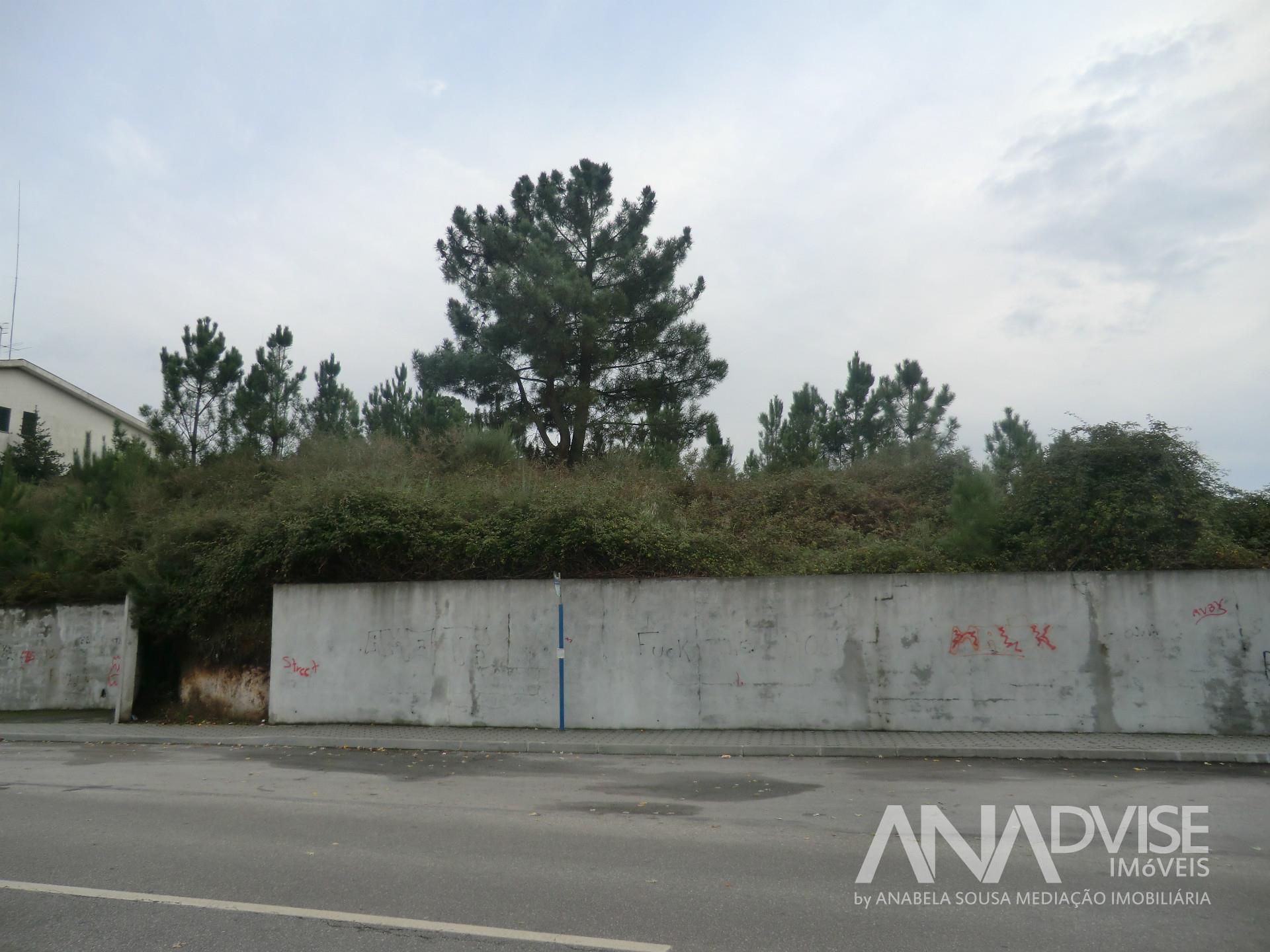 Real Estate building Sell in Viseu,Viseu