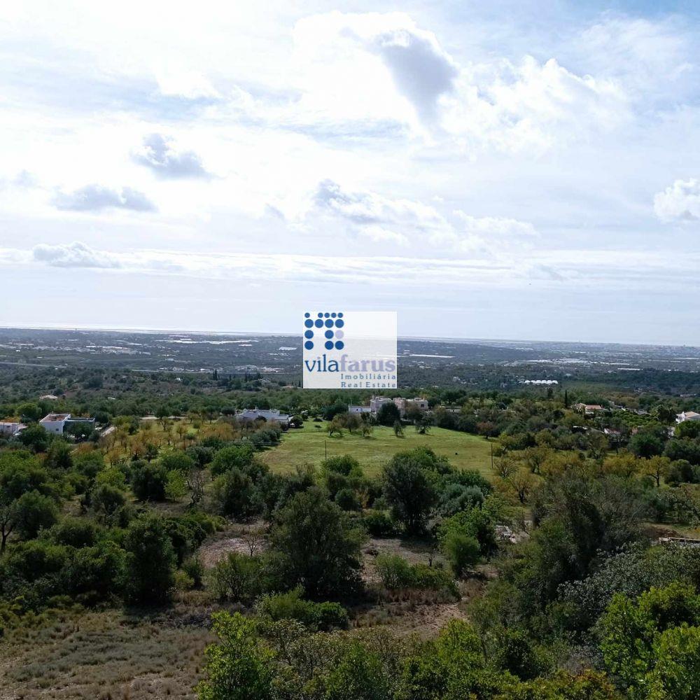 Farm with 15.790m2 and  traditional house.