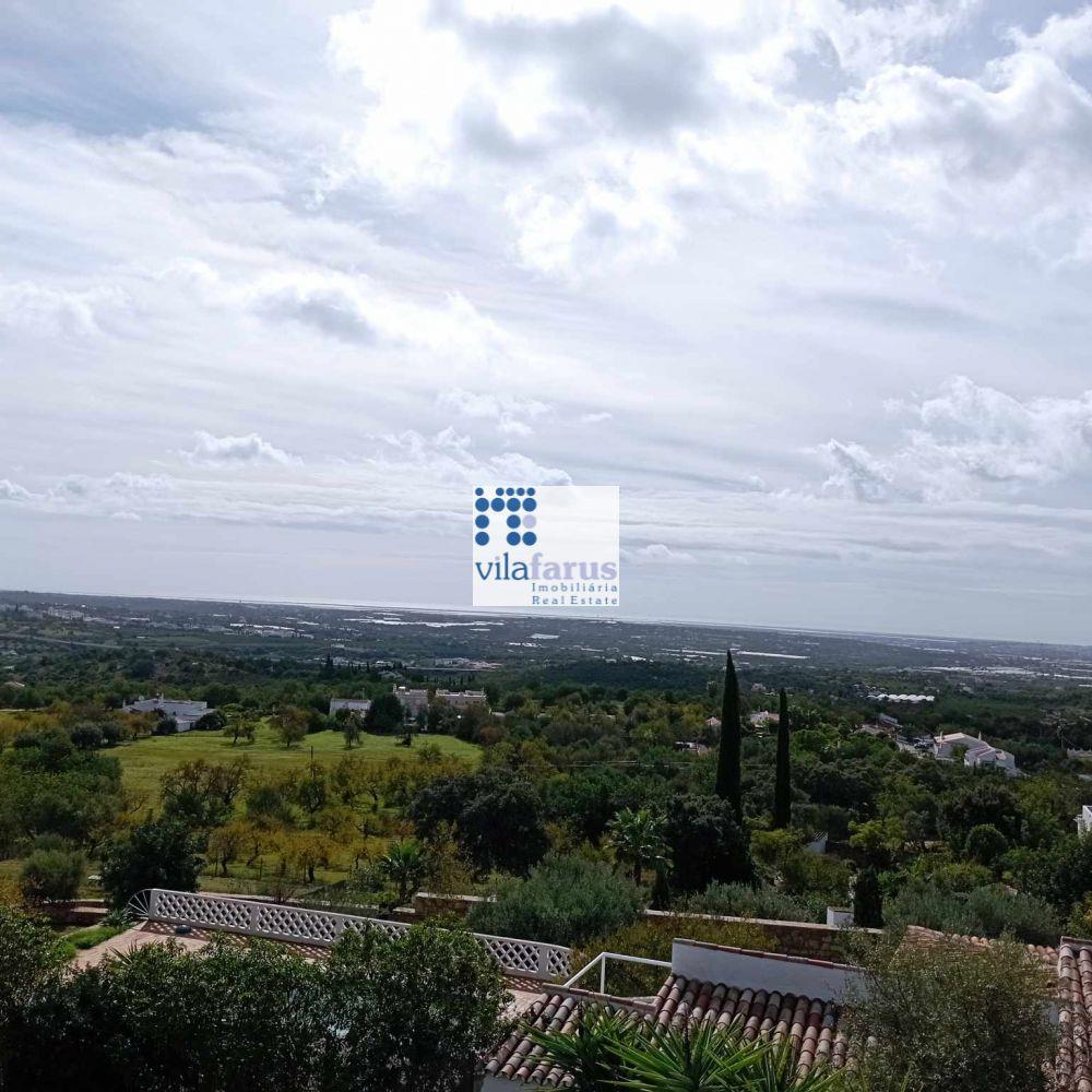 Farm with 15.790m2 and  traditional house.