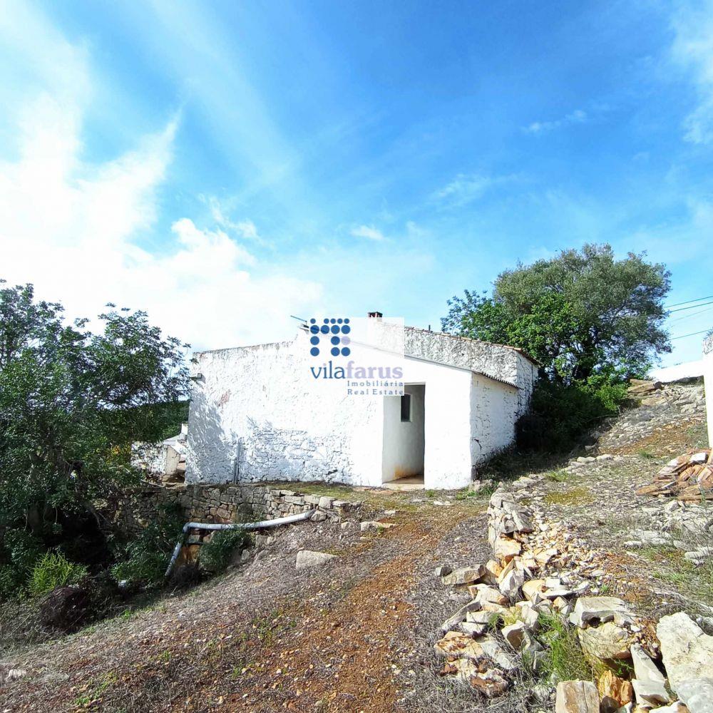 Farm with 15.790m2 and  traditional house.